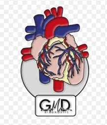 [GMD-PIN-10] PIN CORAZON