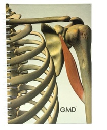 [GMD-NB-13] CUADERNO ARGOLLADO GMD HUESOS HUMANOS